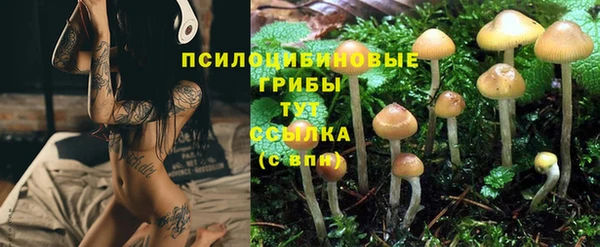 трава Надым