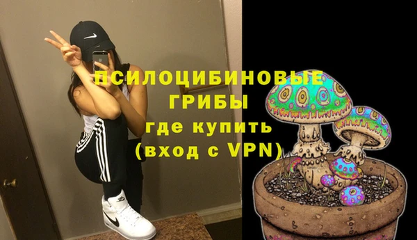 трава Надым