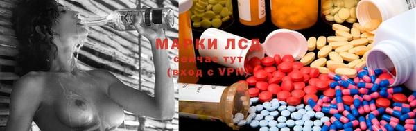 трава Надым
