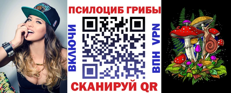 даркнет сайт  Майкоп  Галлюциногенные грибы ЛСД 