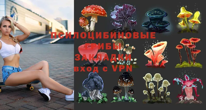 Галлюциногенные грибы MAGIC MUSHROOMS  Майкоп 