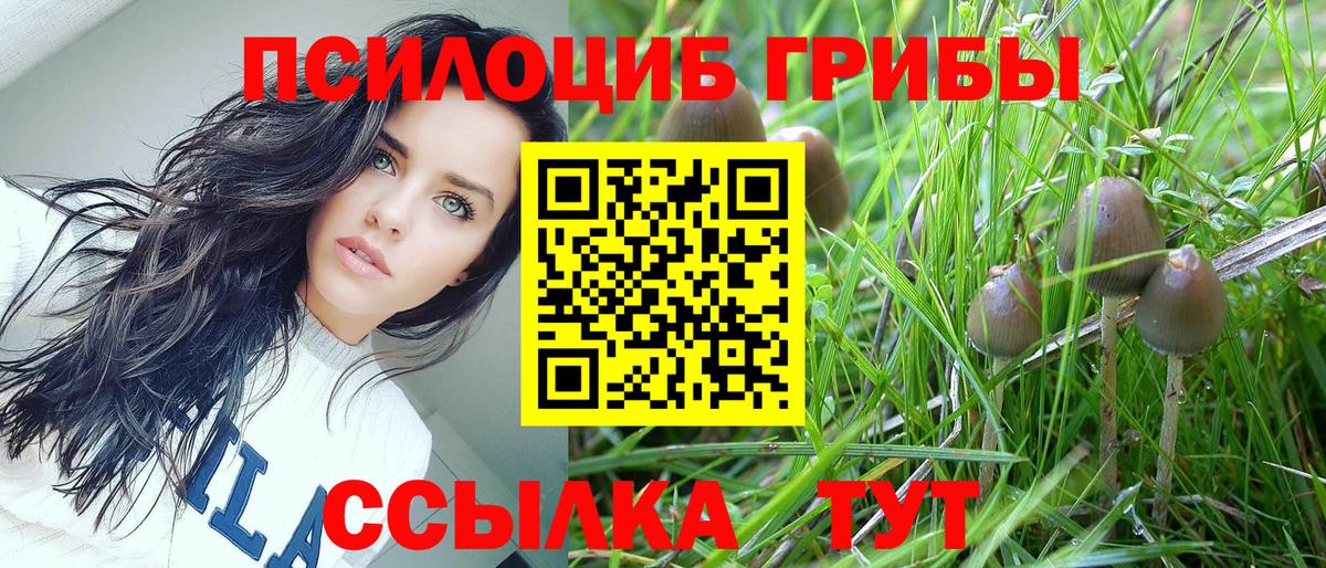 Галлюциногенные грибы Cubensis  Галлюциногенные грибы мицелий  Майкоп 