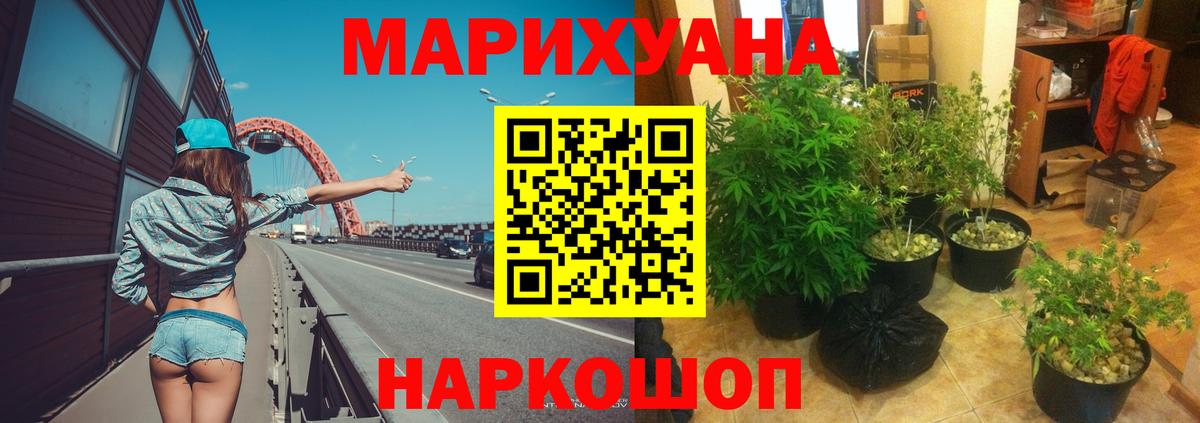 Бошки марихуана марихуана  Каннабис план  Бошки Шишки White Widow  Майкоп  Вход с VPN 